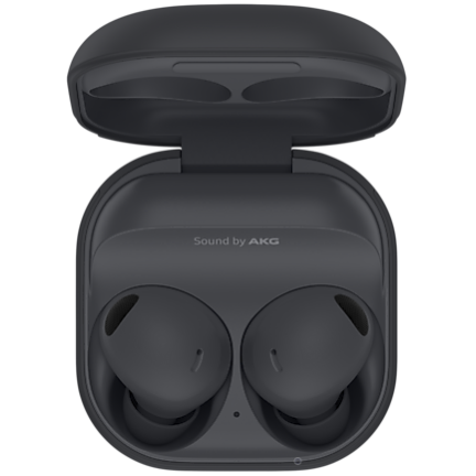 Samsung Galaxy Buds 2 Pro Graphite