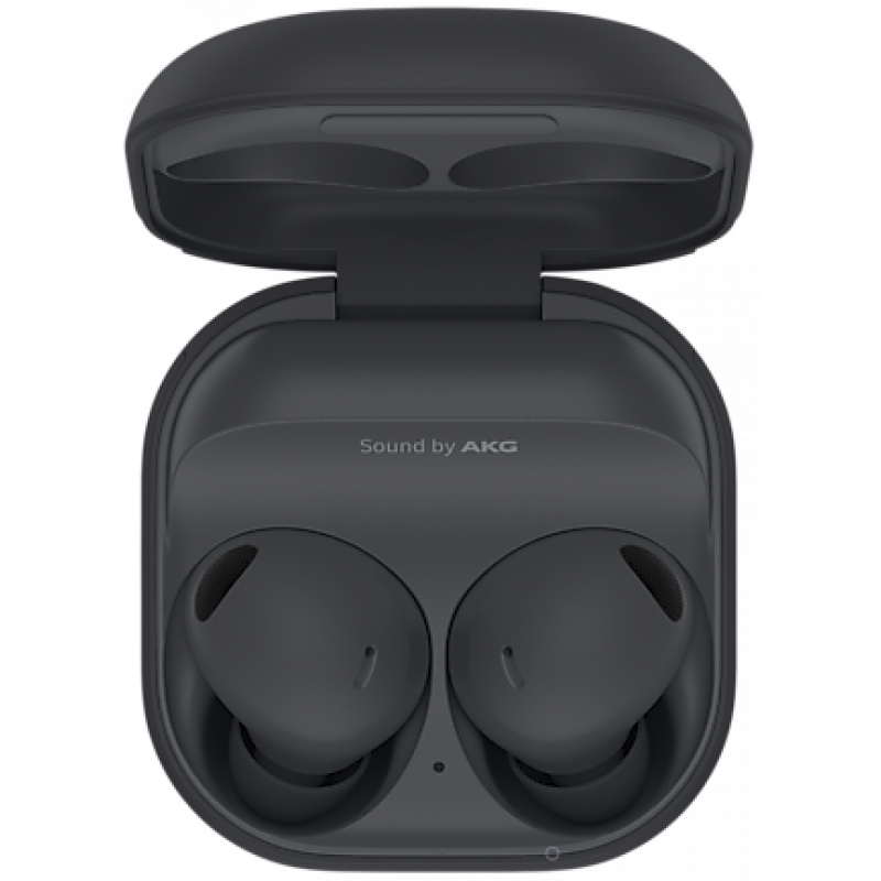 Samsung Galaxy Buds 2 Pro Graphite